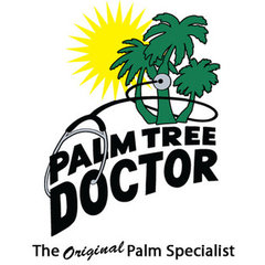 Palm Tree Doctor