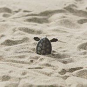 Edie Martin's photo
