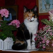 Shandra Beutners foto