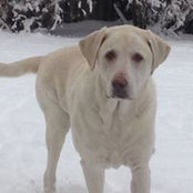 Roxann Dierker's photo