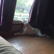 Janet Deal's photo