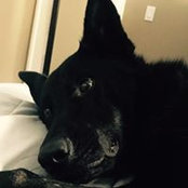 Tabatha Porter's photo