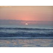 Luis Robles's photo