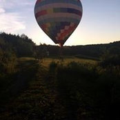 Cheryl Schepis's photo