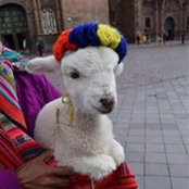 Guille Rch's photo