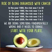 Sue Mazur's photo
