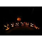 Tracy Velazquez's photo