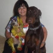 Donna Phillips's photo