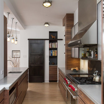 Vintage Chicago Apartment Renovation