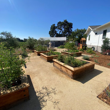Vegetable Garden