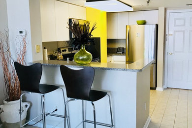 Kitchen - modern kitchen idea in DC Metro