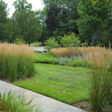 Griffiths Gardens