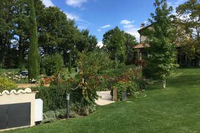 Immagine di un giardino