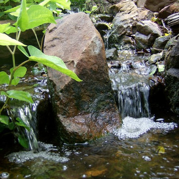 Doss Pond
