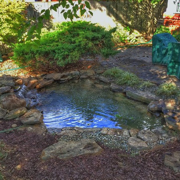 Arlington Pond Rebuild