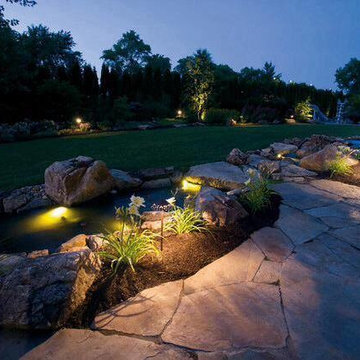 Our Work