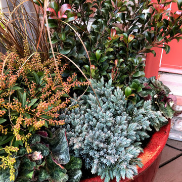 Winter Garden Containers