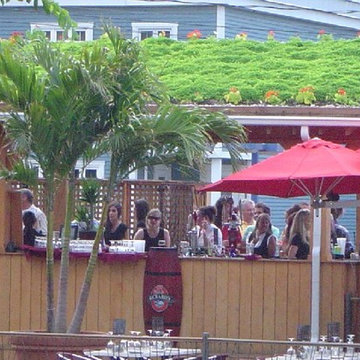 Plantation
