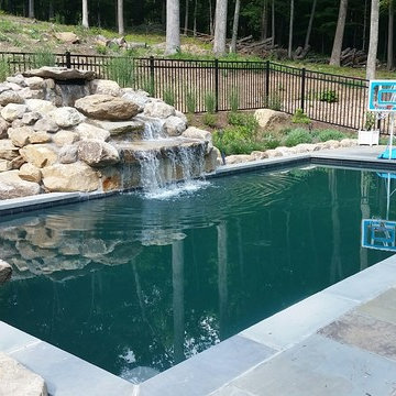 Natural Swimming Pool
