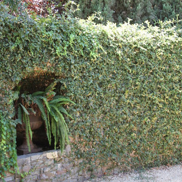 Traditional Garden Design for a Hospice House