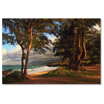 Jason Shaffer 'Hawaii 5' Canvas Art, 32x22