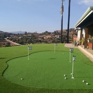 Putting Green Grass