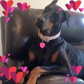 Rebecca Bowen's photo