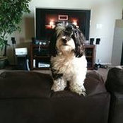 Debbie Molden's photo