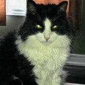 Kimberly Parry's photo