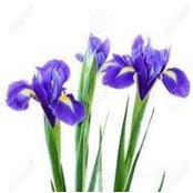 Jeffery Burling's photo