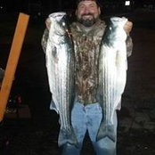 Gary Hayes's photo