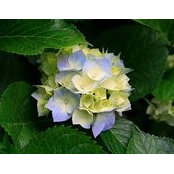 Ann Smitt's photo