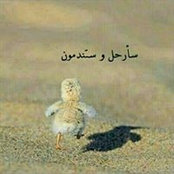 Khaled Hosni's photo