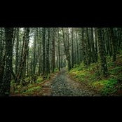 Jhon Miranda's photo