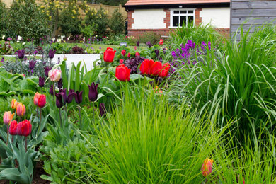 他の地域にある北欧スタイルのおしゃれな庭の写真