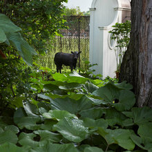yard
