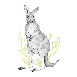 Kangaroo Paws Gicl&eacute;e Print - Fine Art Prints