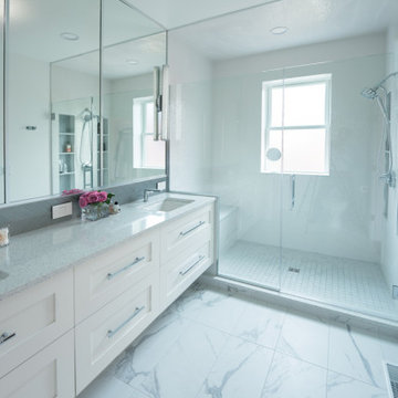 Bright Modern Bathroom – Glen Ellyn, IL