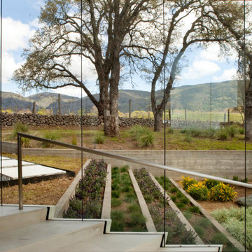 Napa Vineyard Retreat