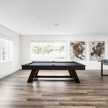 Family Room / Basement