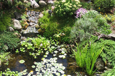 Inspiration for a landscaping in Bridgeport.