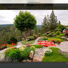 Our Back Yard