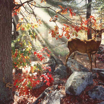 Beautiful Art for Your Home