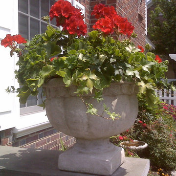 Container Gardens