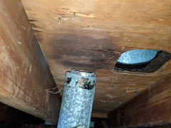 Gas Water Heater Vented Into Attic - How Concerned Should I Be?
