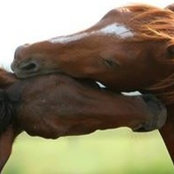 Monika McLachlan's photo