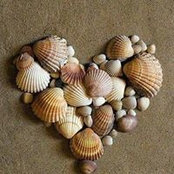 Sandra Miless foto