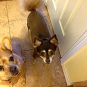 Paula Strong's photo