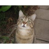 Martine Germain's photo