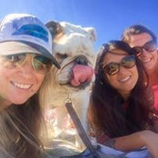 Elisabeth Dornbrach's photo